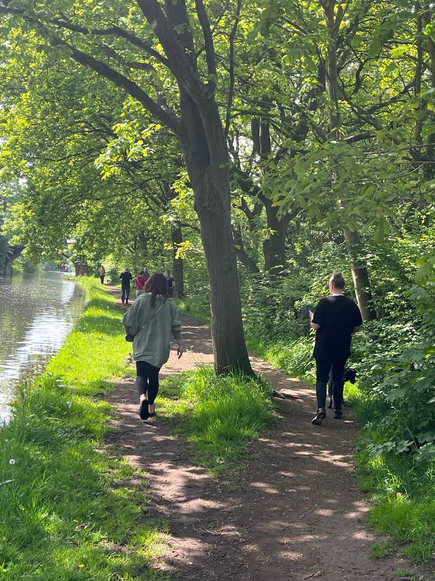 Group of people walking through woods
